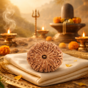 sacred 11 mukhi rudraksha invoking the power of lord hanuman