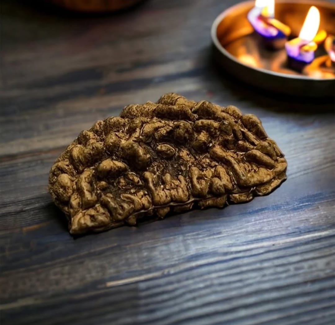 Rudraksha Journey
